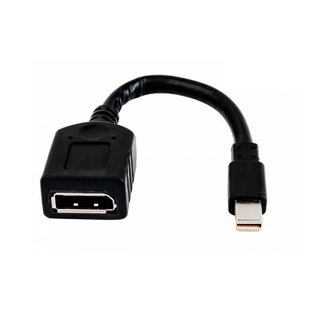 HP 2MY05AA Mini Display Port to Display Port Adapter